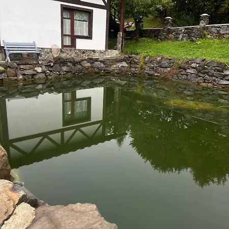 готельно-ресторанний комплекс кичера Hotel *